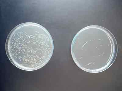 Artikel lesen Artikel lesen